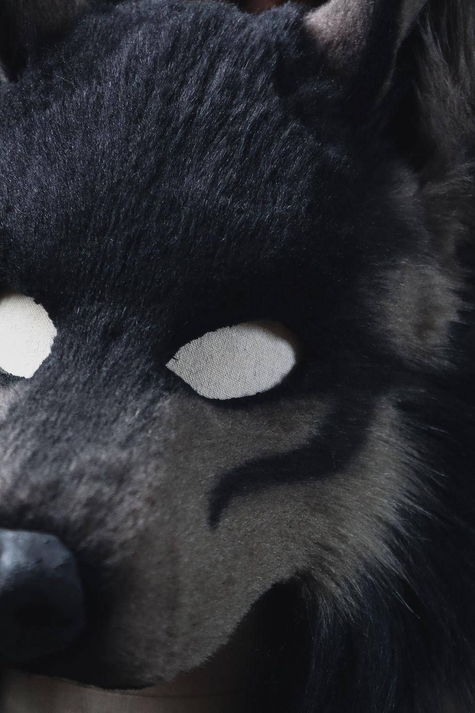 Thumbnail: Black wolf with hood