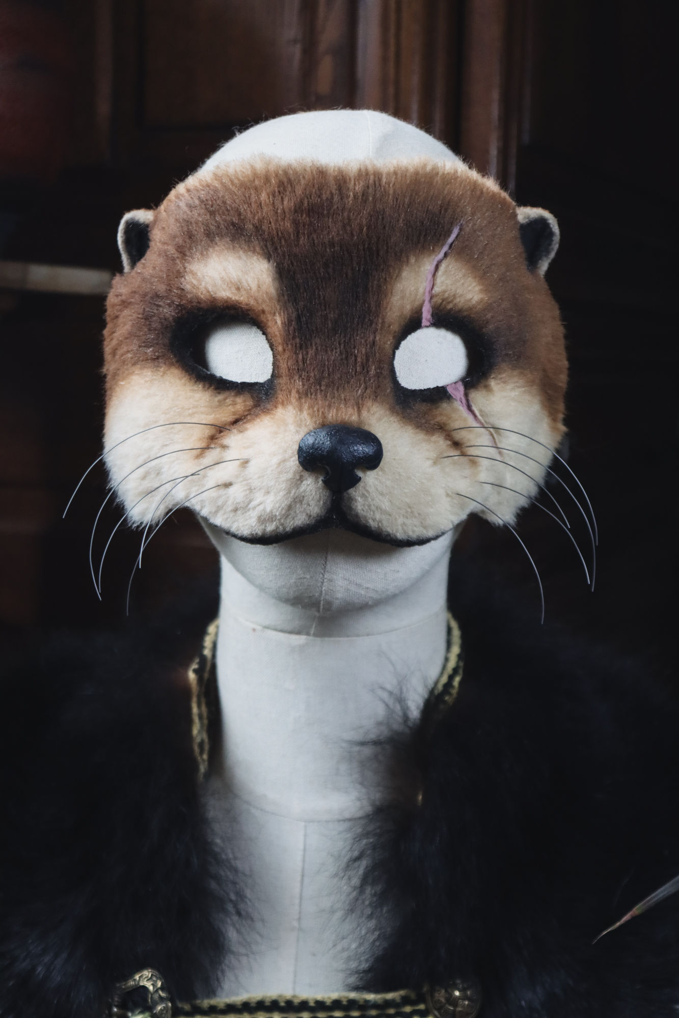 Loutre