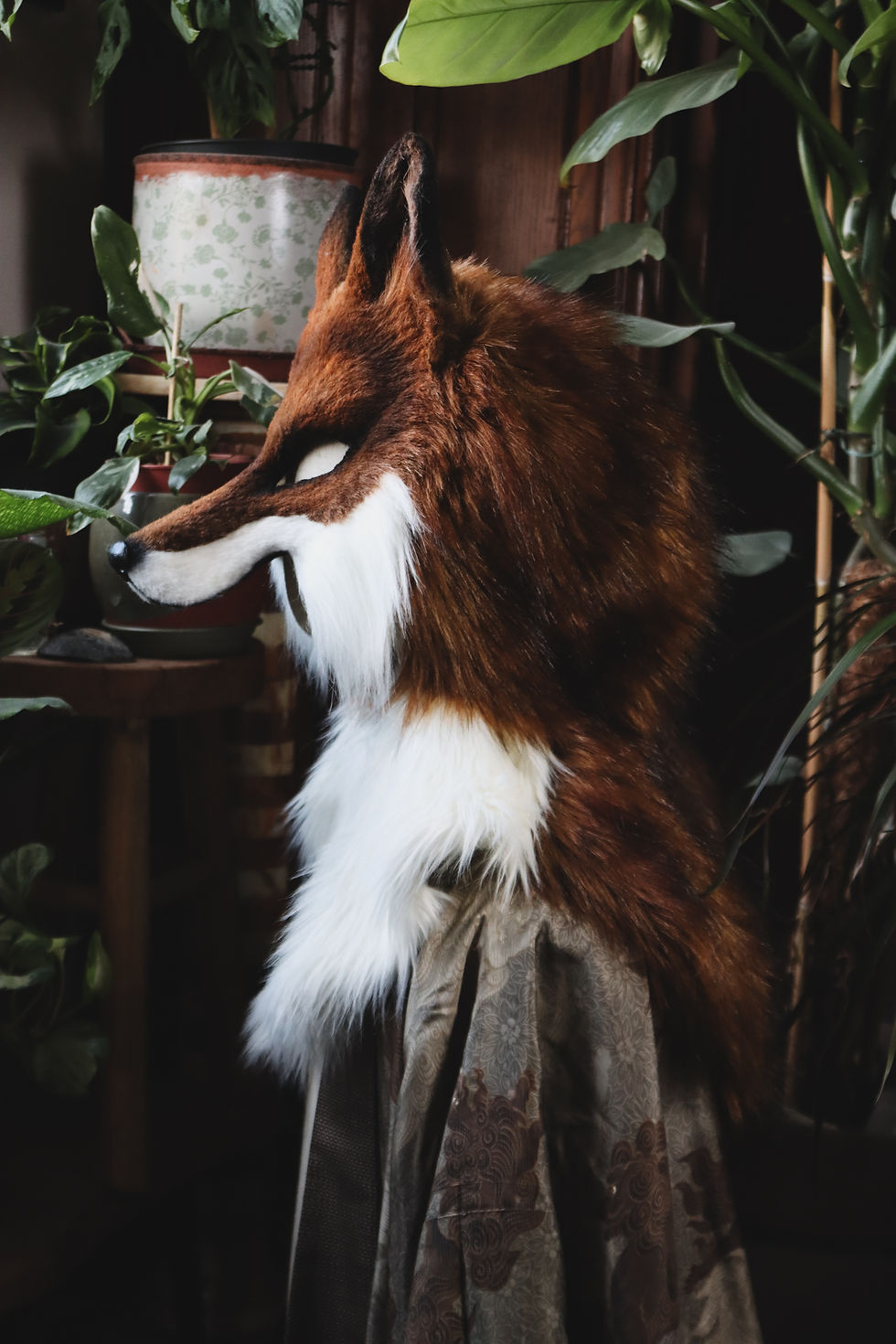 Thumbnail: Red fox with hood