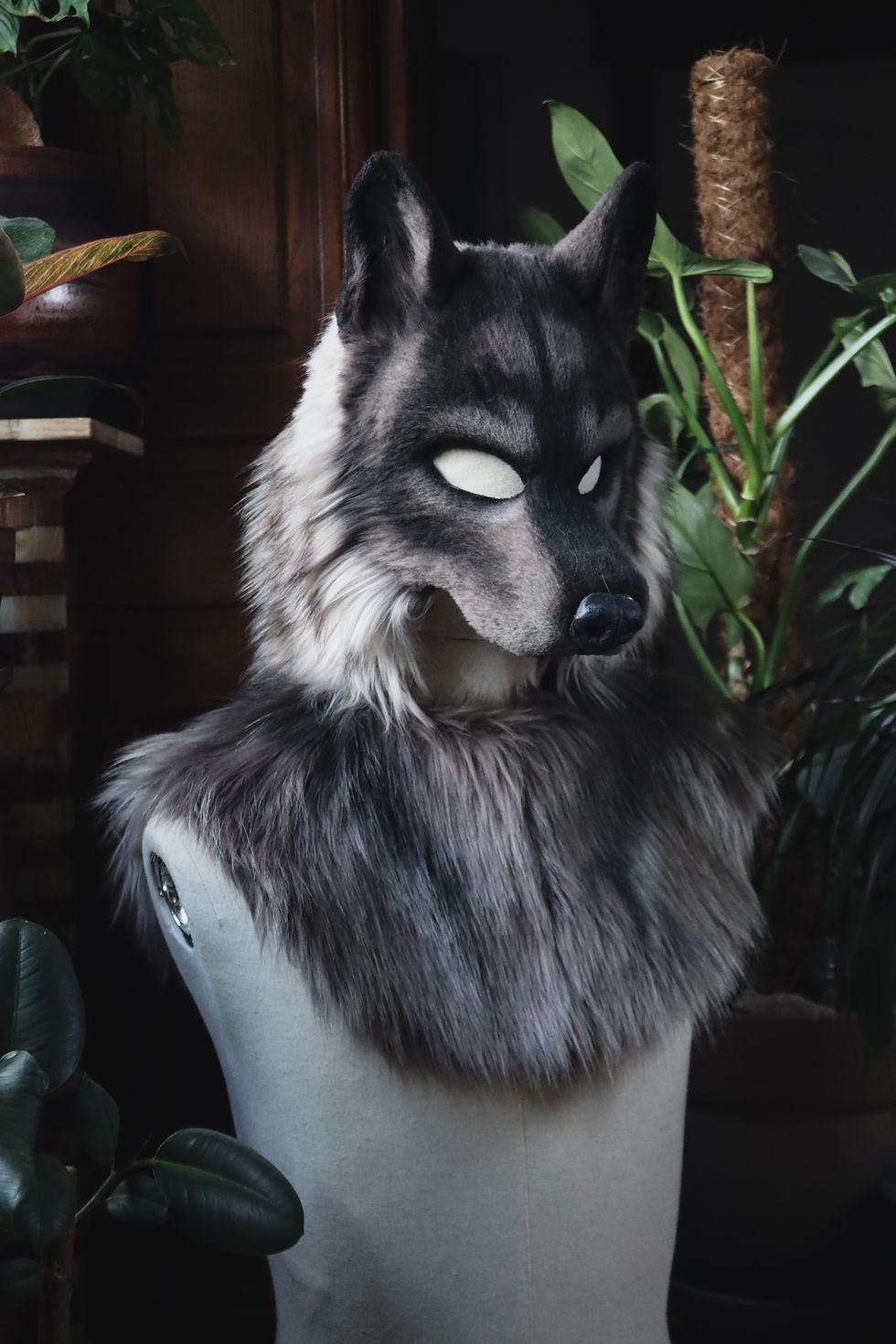 Miniature : Loup gris avec capuche