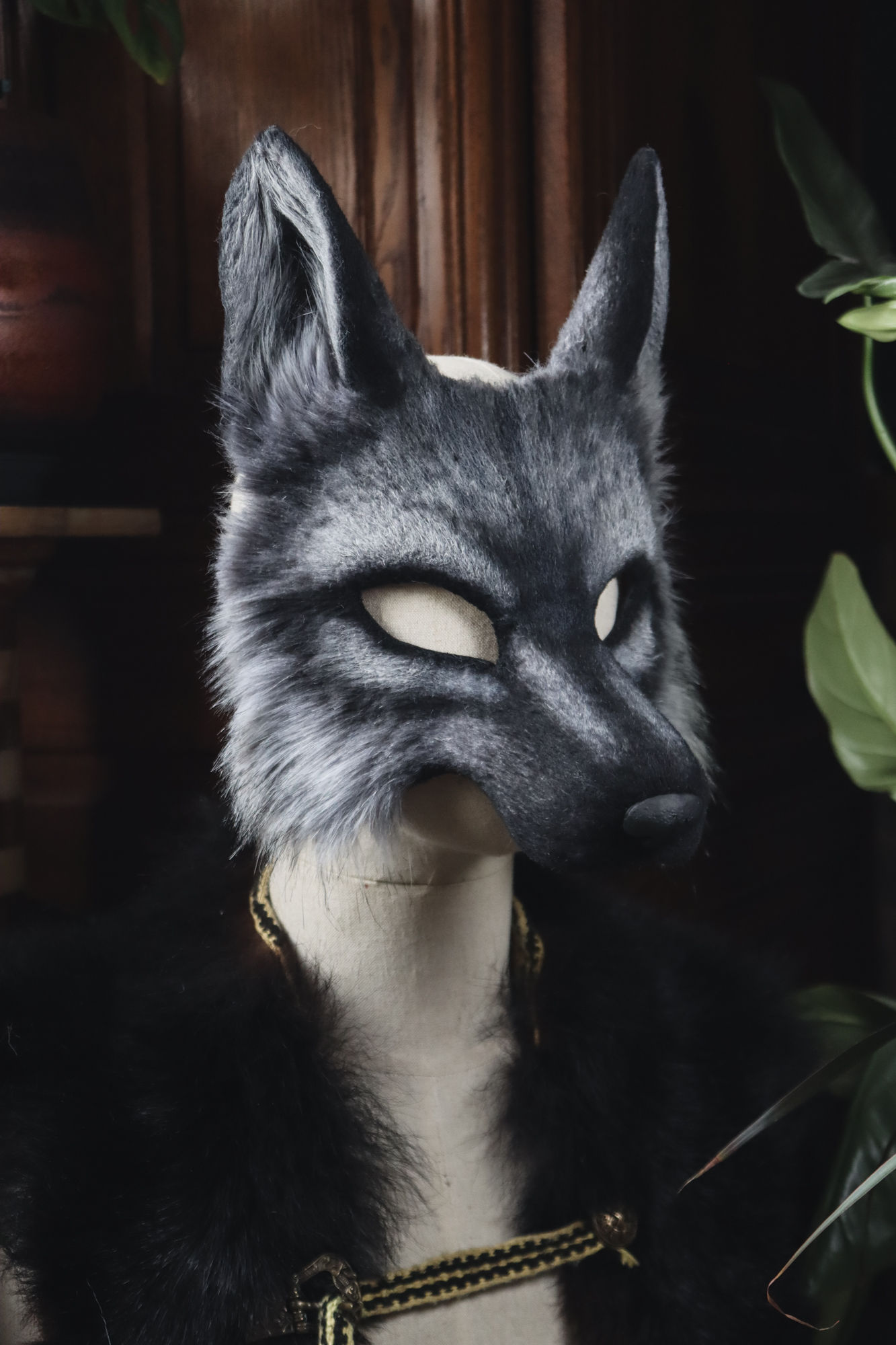 Renard argenté