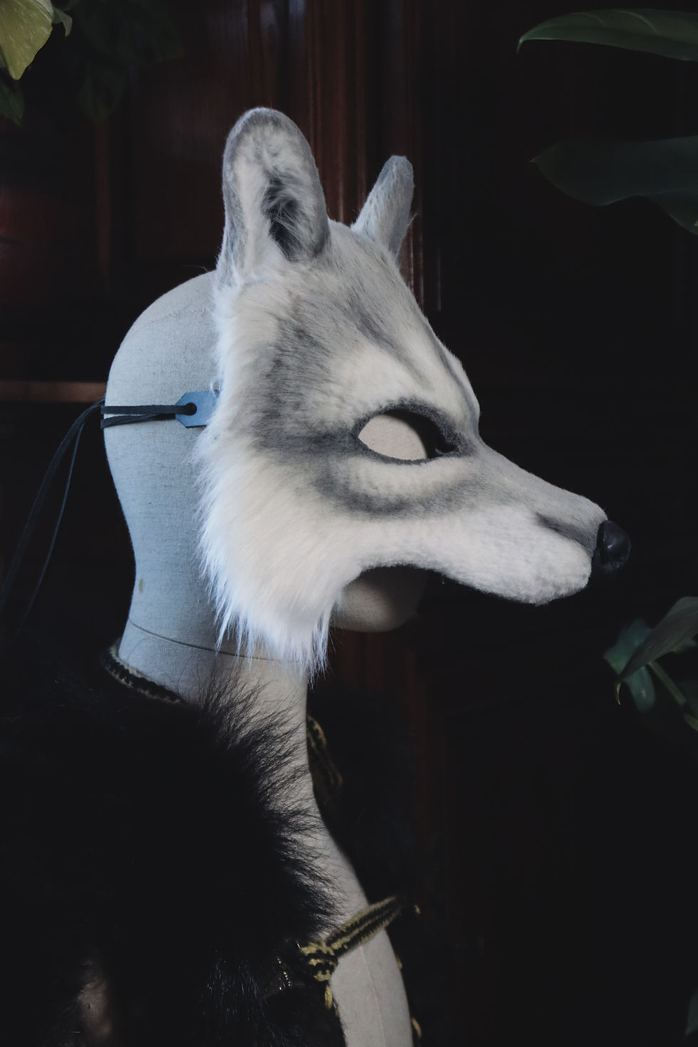 Thumbnail: Black grey Wolf