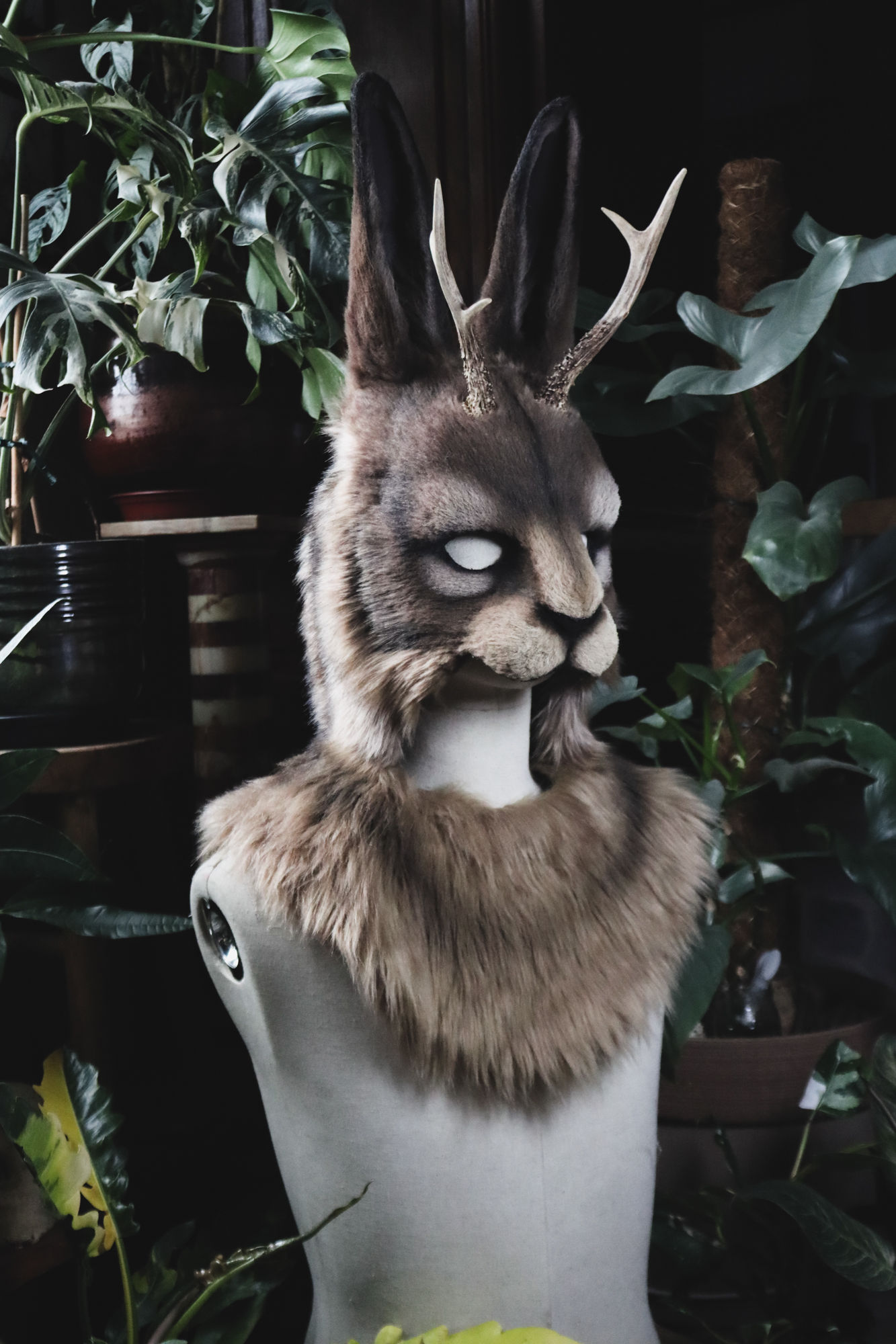 Jackalope avec capuche