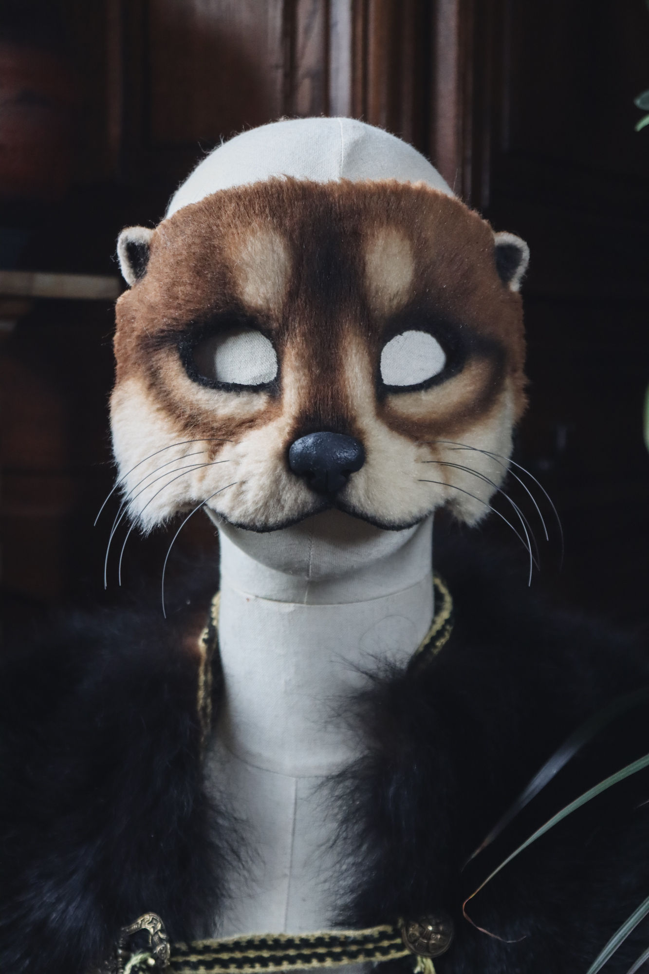 Loutre