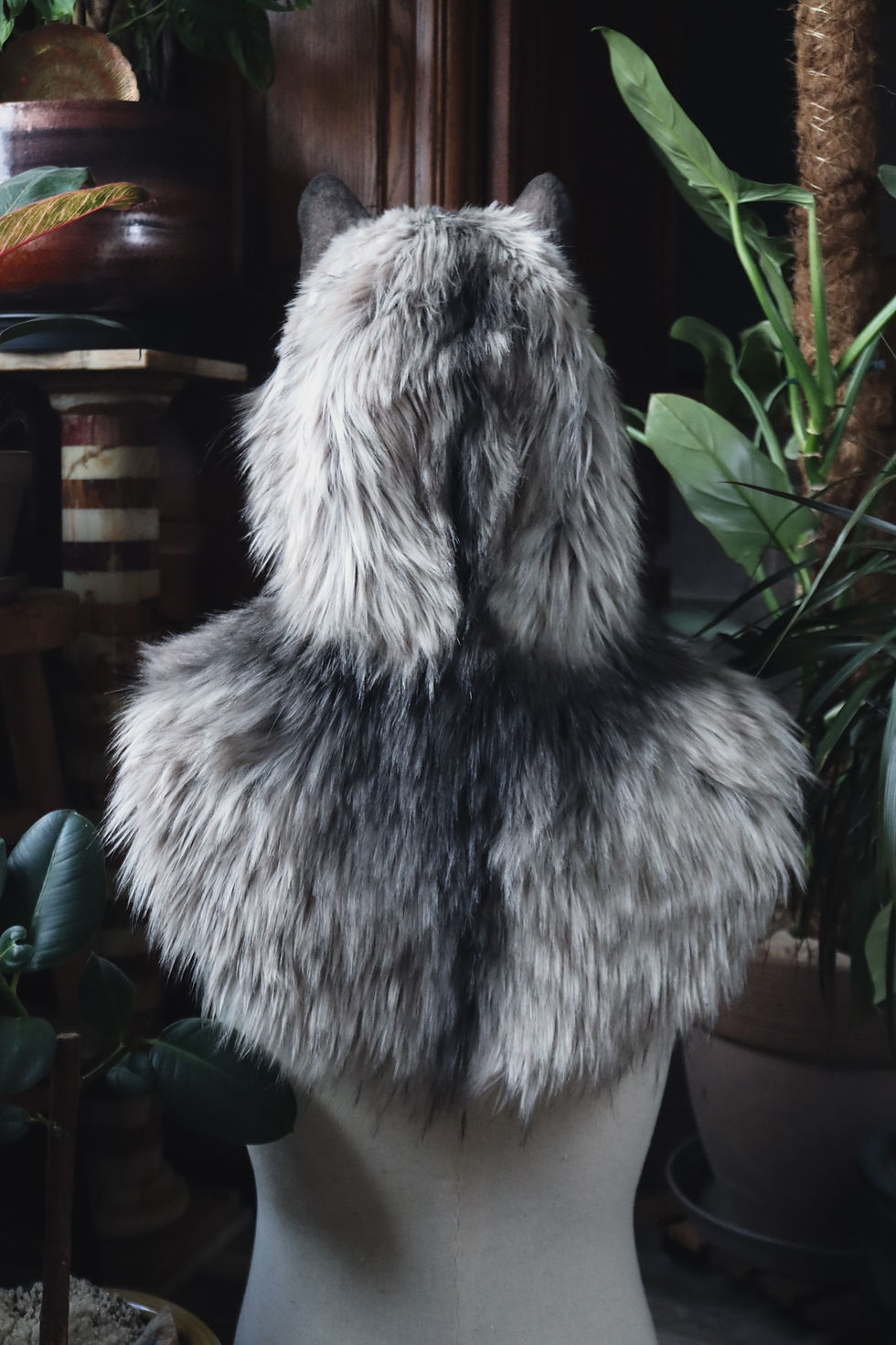Miniature : Loup gris avec capuche