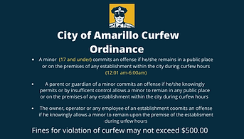 Copy of Blue and Yellow Police Business Card-6.png
