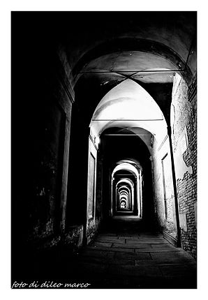 DSC_3274 (3).jpg