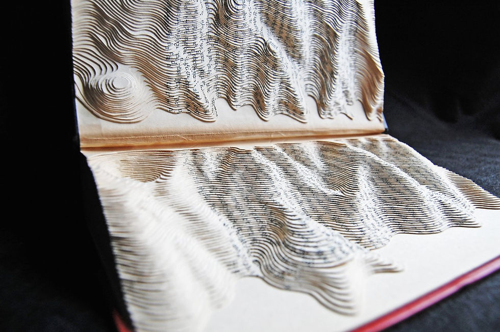 Topo Book 2