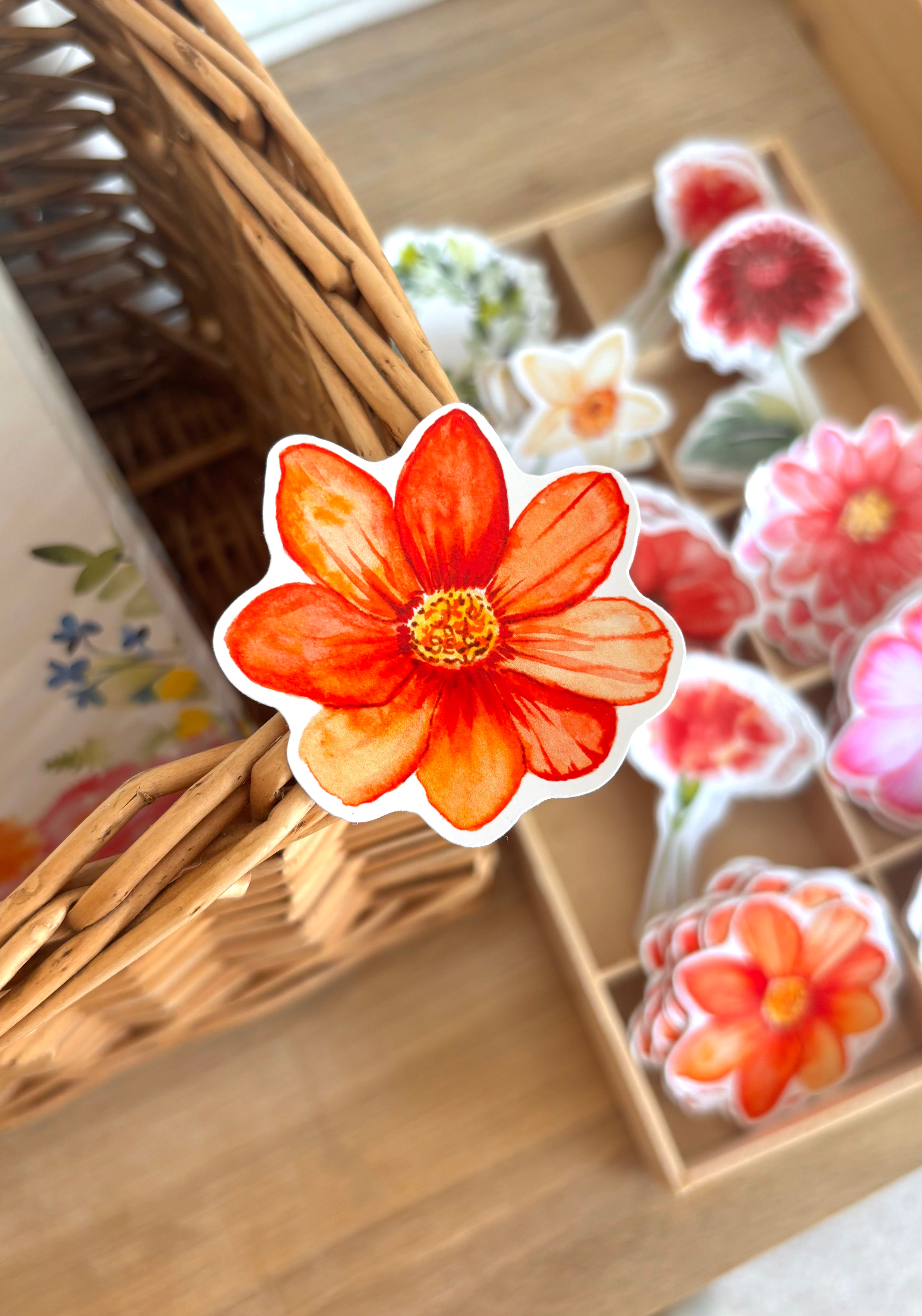 Sticker Cosmos orange