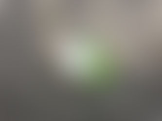 アスファルト舗装の片隅に