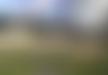 Aufräumaktion am Beachvolleyballplatz