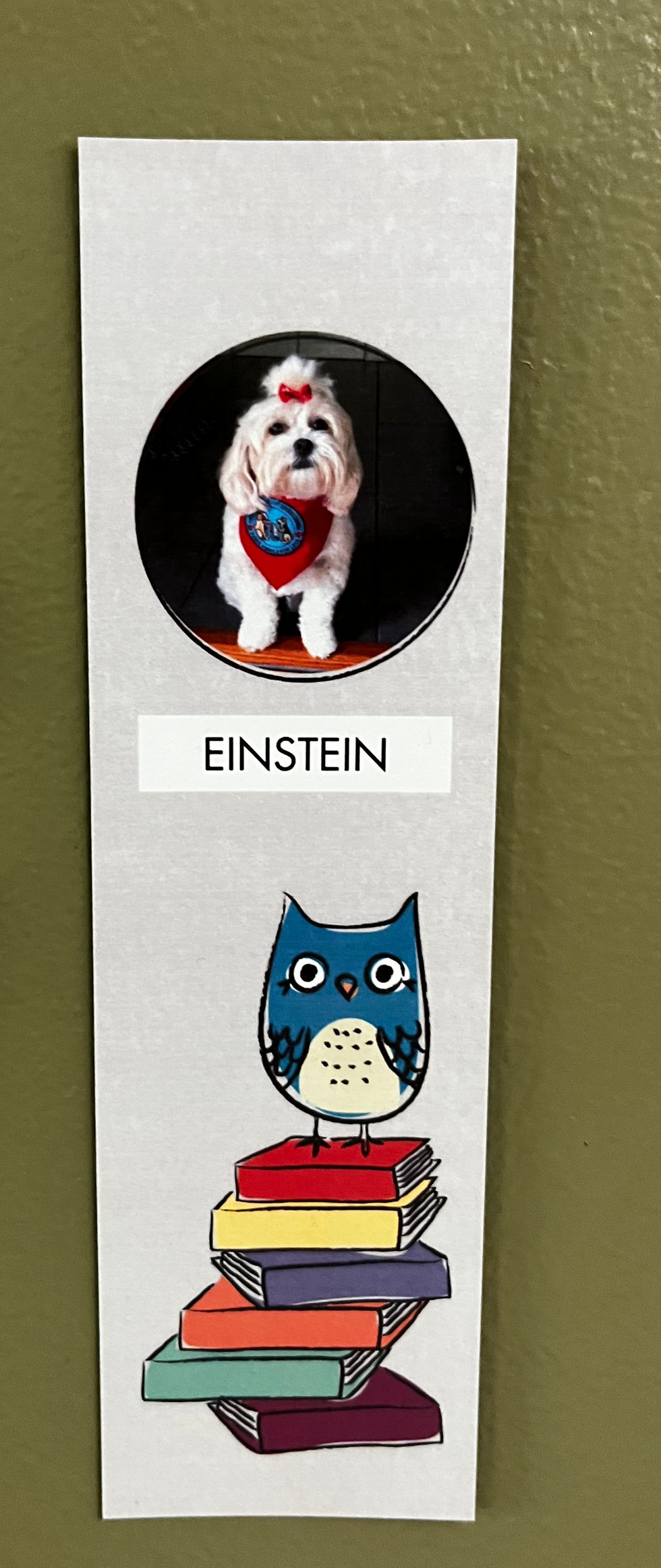 Thumbnail: Bookmarks with Caper and Einstein