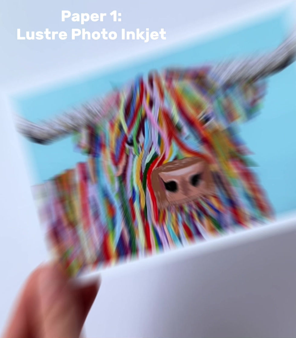 Thumbnail: 'Ranunculus in Carlsbad' Print