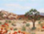 Thumbnail: 'Blooming Joshua Tree' Print