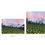 Thumbnail: 'Wildflowers at Mount Rainier' Print