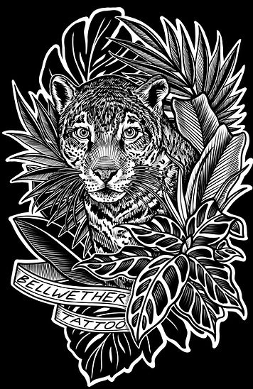 bellwether jag on black.jpeg