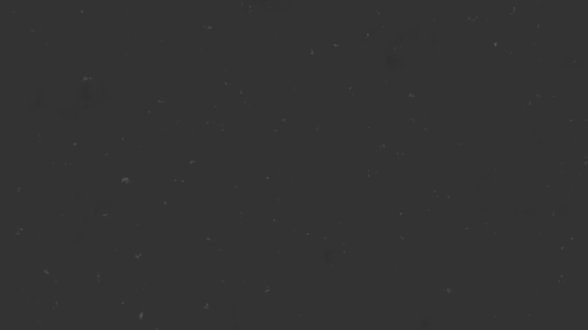 Hugo Cabret - Logo Reveal copy.gif