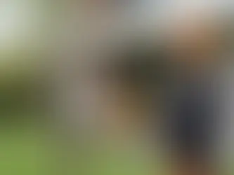 Sécurité élagage arbre particulier : le guide complet 2026 pour tailler sans danger