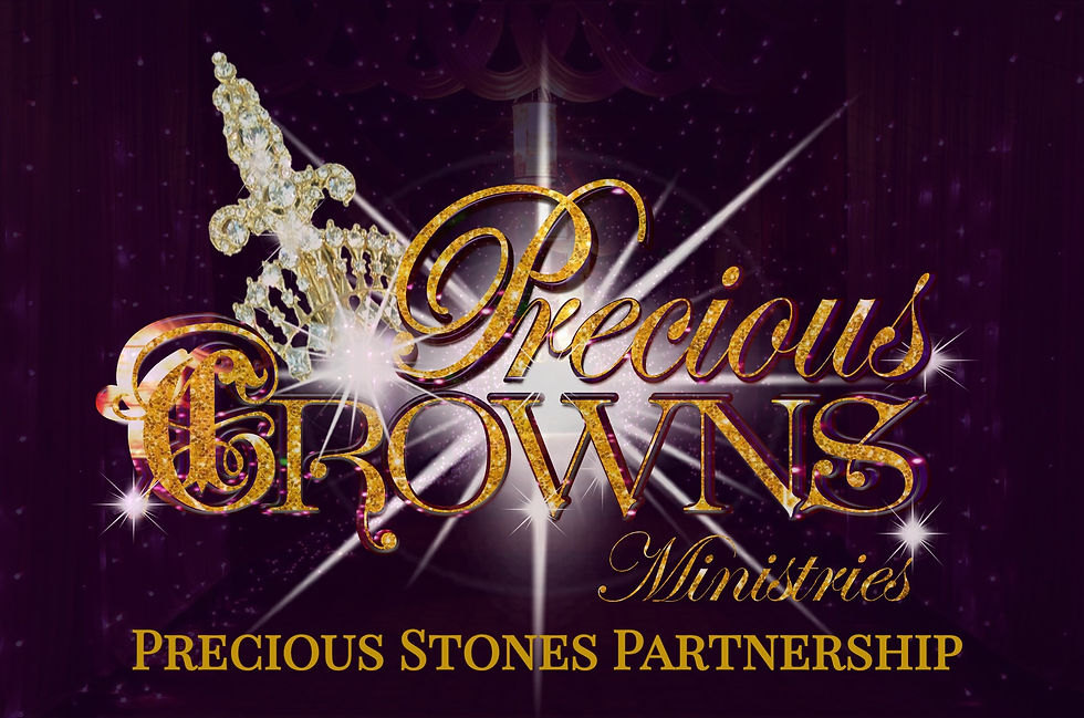 Precious Stones Partners Meeting