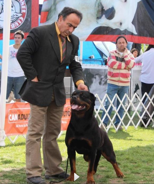 Guga del Panco