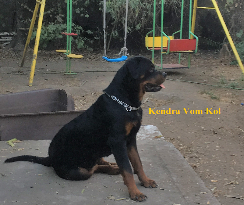 Kendra