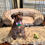 Thumbnail: Pink Sailor Collar/Bow Combination for XS-L Furbabies