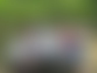 25. 07. 28. 킹스턴 여름소풍
