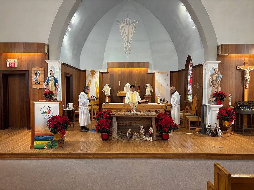 25. 12. 25. 예수 성탄 대축일 낮 미사