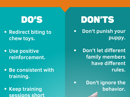 Tackling Puppy Biting: Tips and Techniques for New Puppy Parents