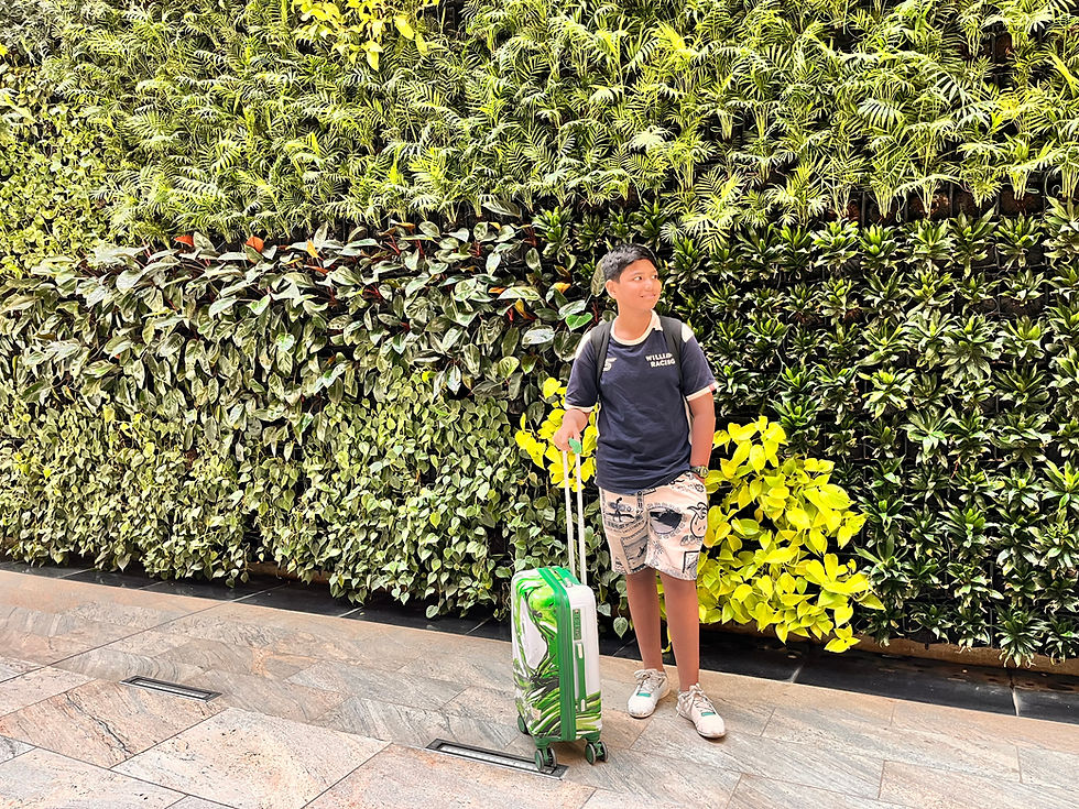 IMG_1639.jpeg