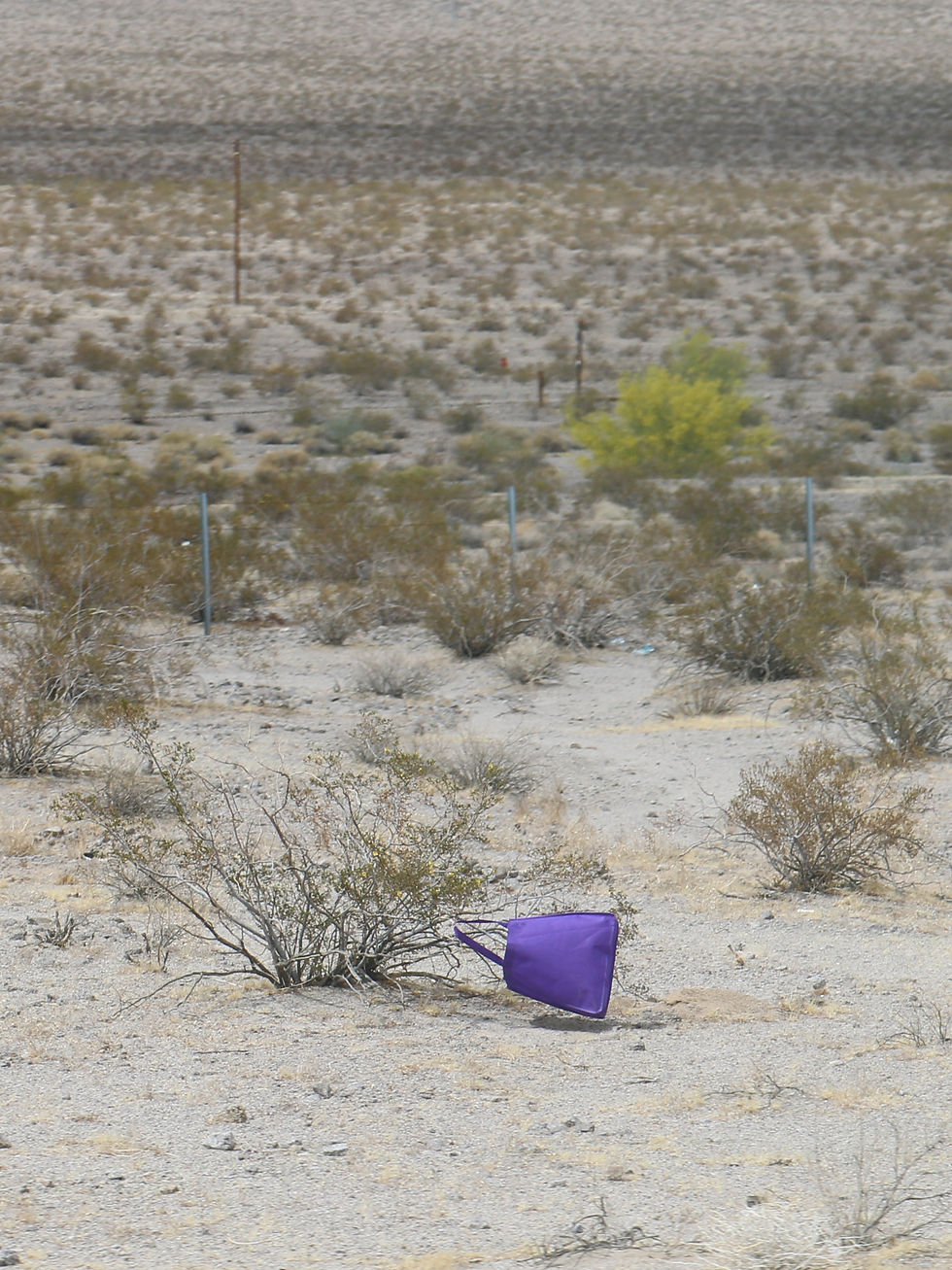 Mojave Wüste/ Kalifornien, 2025