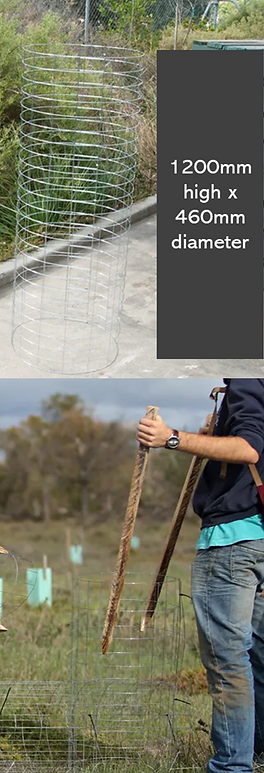 Kanga-Guard two images.png