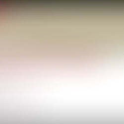 Senate Proposes Campaign Finance Sunshine Before Bringing Shade 