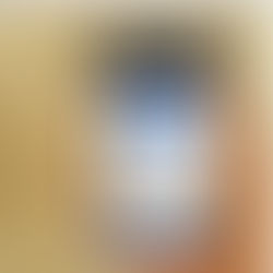 Cowboy Carter via SMS