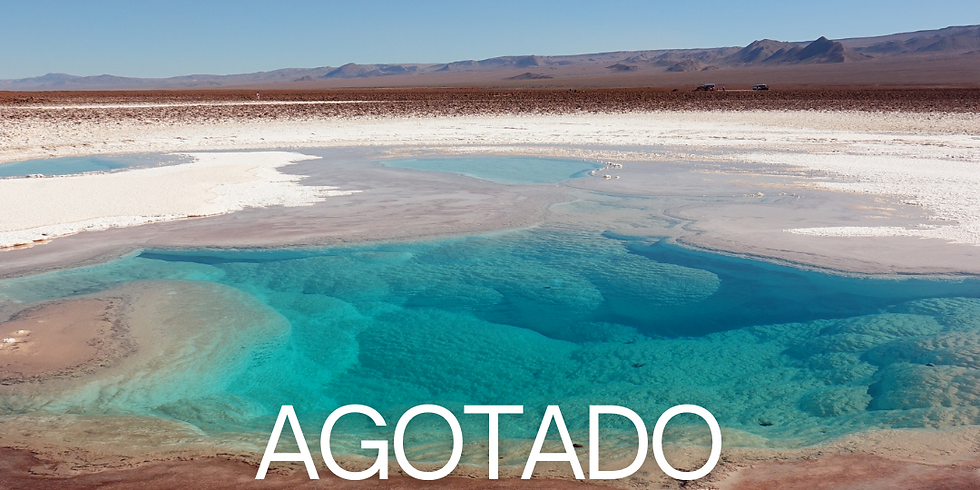 SAN PEDRO DE ATACAMA EXPERIENCE