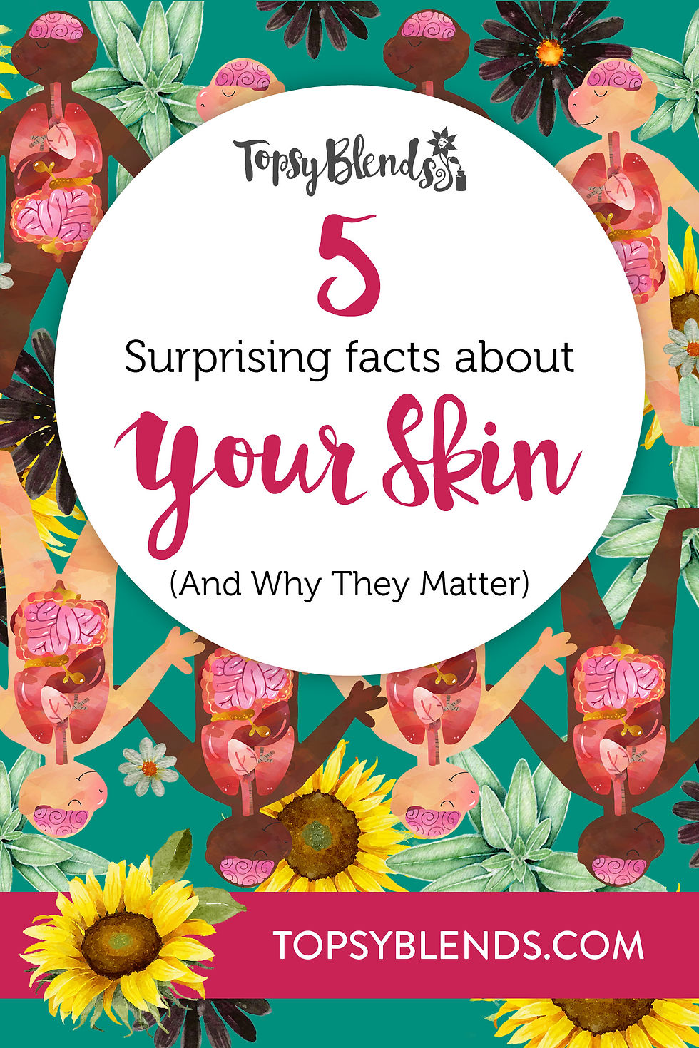 5 science based facts about your skin
