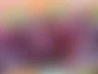 Blackberry Food Co-op Store