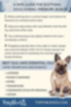 A safe guide to soothing dogs during fireworks