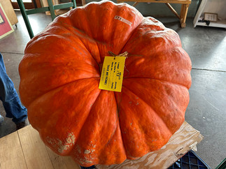 Blackberry Food Co-op Store