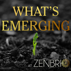 What's New at Zenbrio