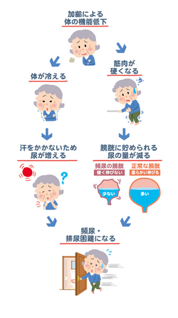 説明イラスト01