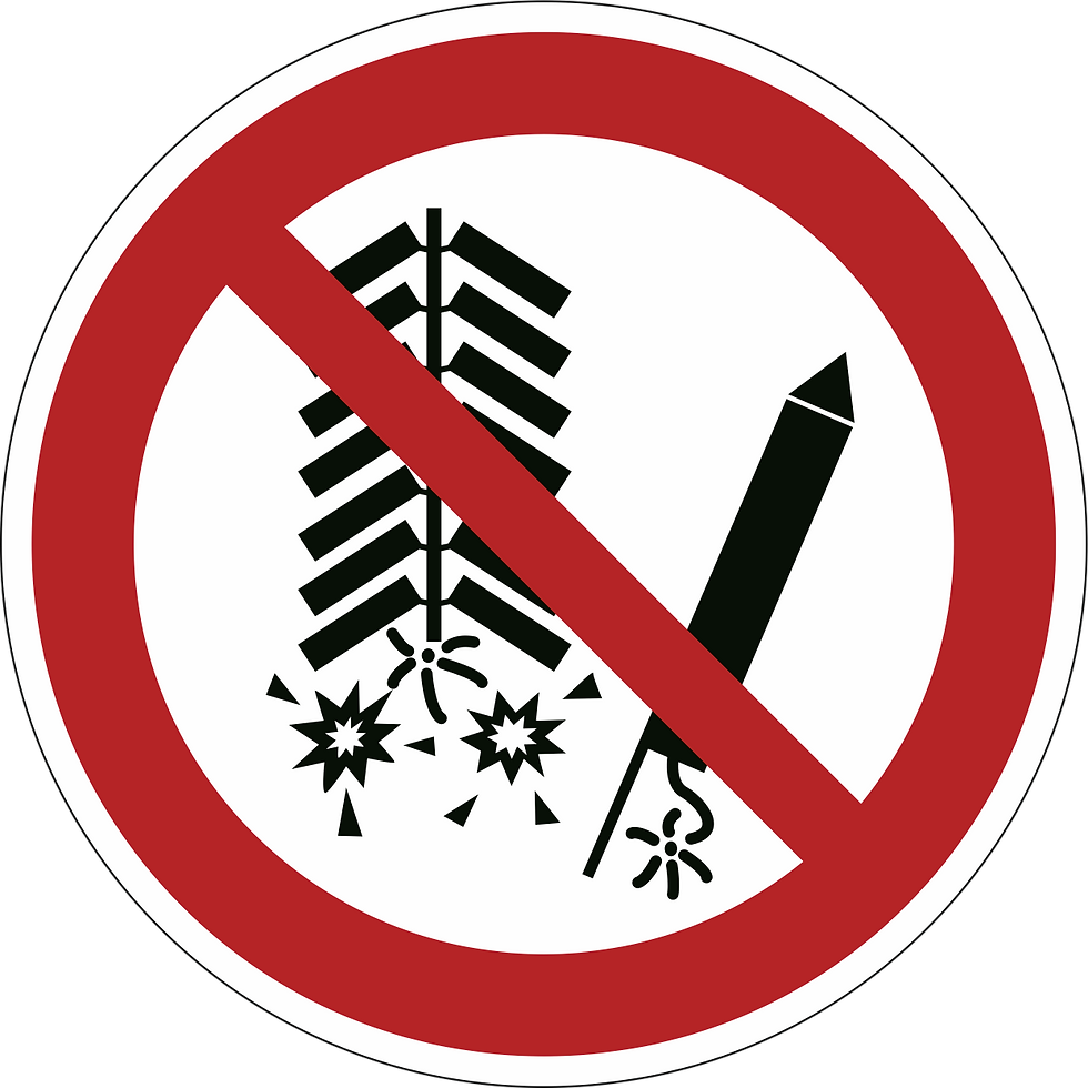 P040p - Zabranjeno paljenje vatrometa