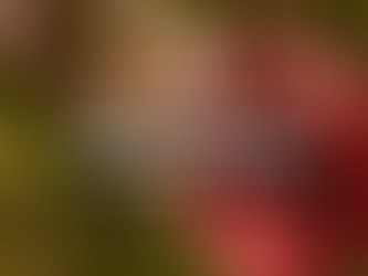 Claves de seguridad en navidad