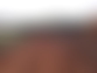 Prefeitura de Brasiléia inicia 2019 priorizando a produção rural 