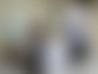 Programa de combate ao mosquito Aedes Aegypti