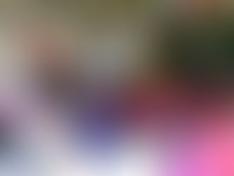 Prefeitura realizada formatura de mais de 40 alunos do PROERD