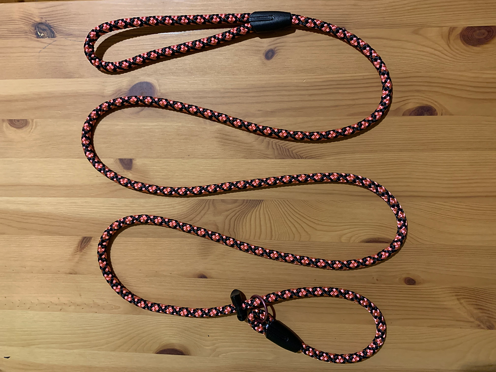 Thumbnail: Slip Leads