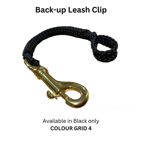 Back-up Leash Clip.png