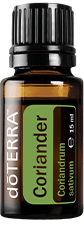 Coriander (Koriandersamen) Coriandrum sativum 15 ml