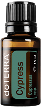Cypress (Zypresse) Cupressus sempervirens und lusitanica 15 ml